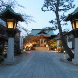 3月25日の晩ごはん(宝石展の昆虫たちと世田谷区 桜神宮の夜桜)