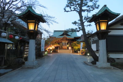 3月25日の晩ごはん(宝石展の昆虫たちと世田谷区 桜神宮の夜桜)