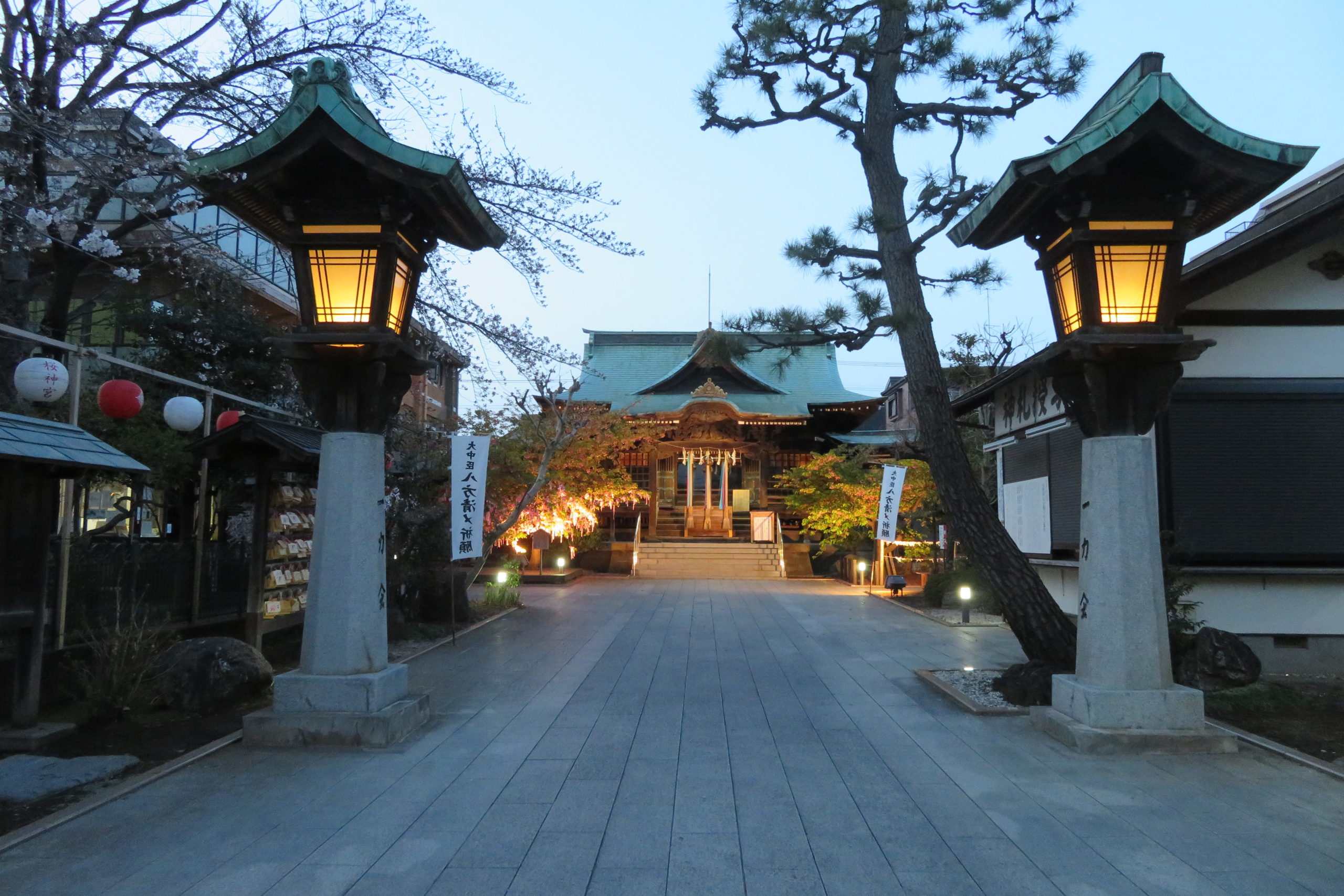 3月25日の晩ごはん(宝石展の昆虫たちと世田谷区 桜神宮の夜桜)