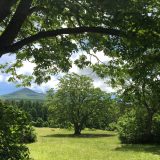 6月7日のお昼ごはん(天麩羅とざる蕎麦、青森県八甲田連峰 萱野高原と青森市 めだか郷和国)