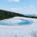 6月4日のお昼ごはん(八幡平ドラゴンアイ、カルボナーラ、東北大学植物園 八甲田山分園、夕暮れの十和田湖畔と中滝ふるさと学舎)