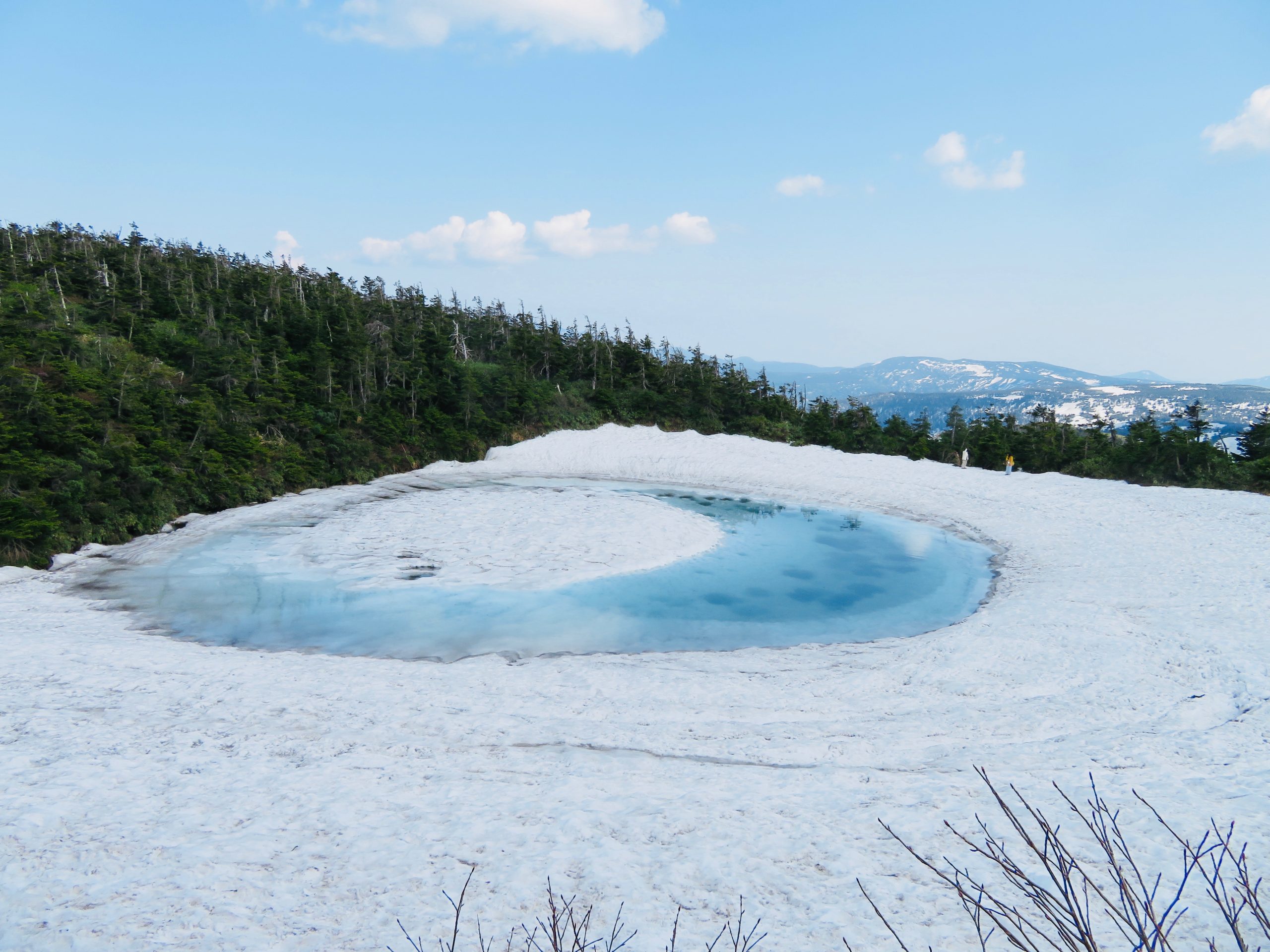 6月4日のお昼ごはん(八幡平ドラゴンアイ、カルボナーラ、東北大学植物園 八甲田山分園、夕暮れの十和田湖畔と中滝ふるさと学舎)