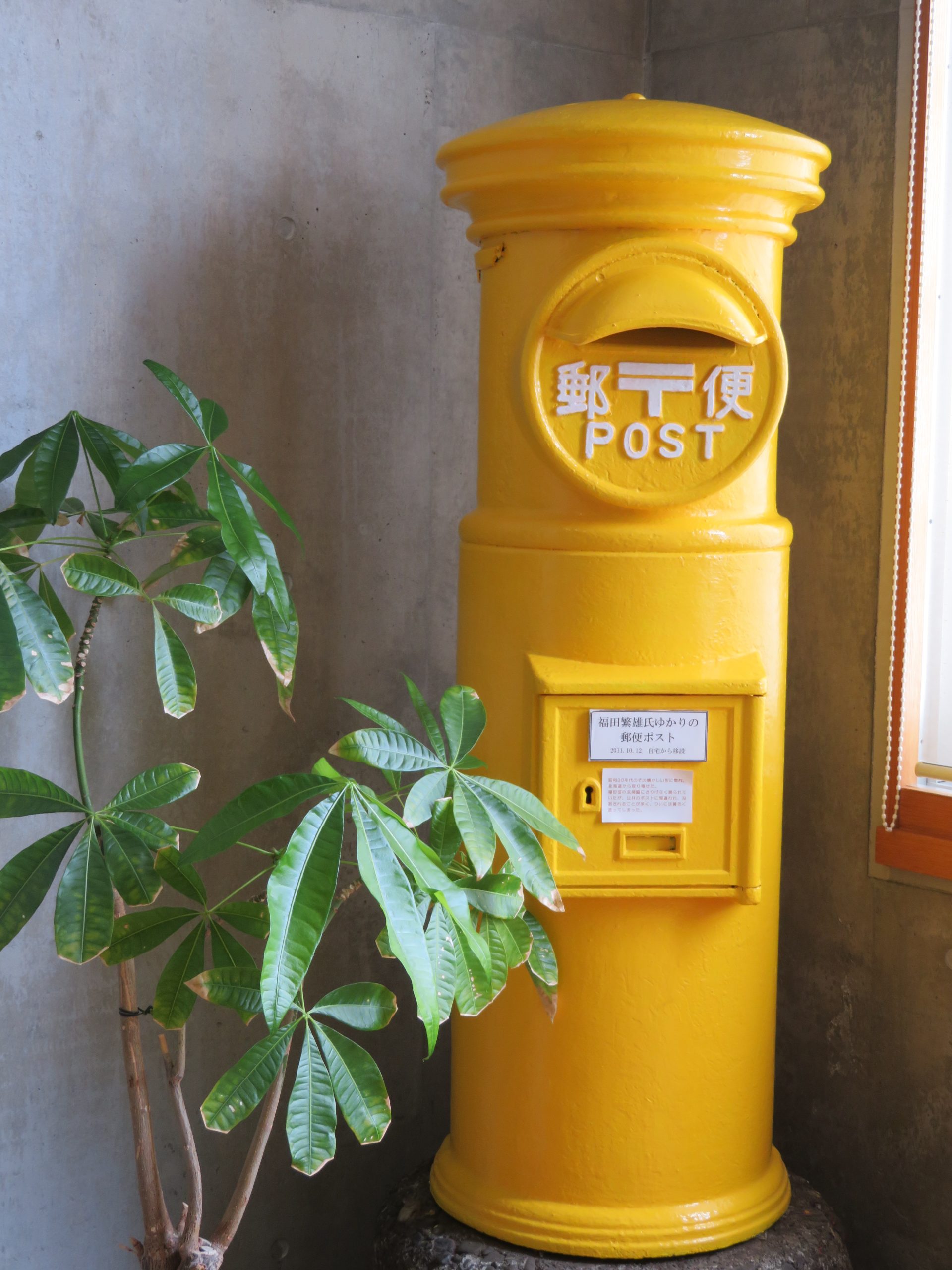 6月9日のお昼ごはん(座敷わらしと金田一温泉郷、三浦哲郎 ユタと不思議な仲間たち)