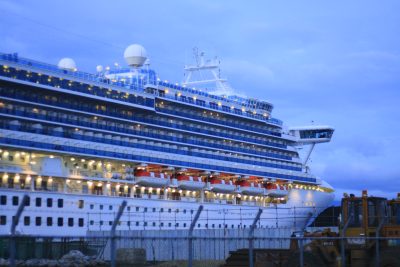 6月9日の晩ごはん(鯛のあら炊き、夕暮れのダイヤモンド・プリンセス)